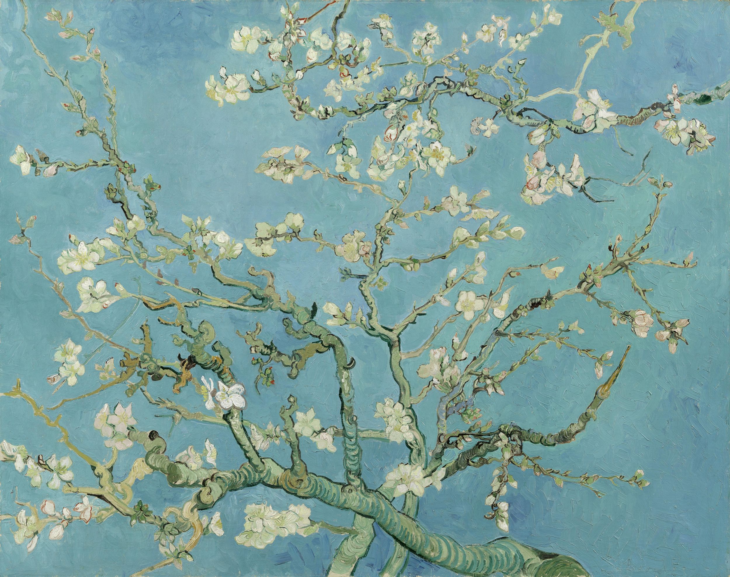 Картина Ван Гога Цветущее миндальное дерево 1890